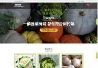 广州在线商城网站